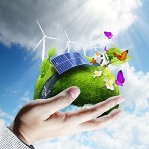 Environmental Consultations & Courses