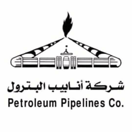 Customer logo 2